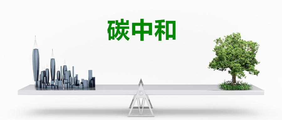20250202/9ca853ba69a7a218dd19aed8f93d253d.png