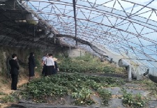 山西山阴有机生态土种植示范项目