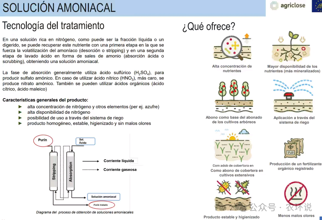 ⑤ 氨溶液 Solución Amoniacal